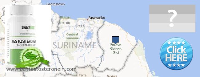 Jälleenmyyjät Testosterone verkossa French Guiana