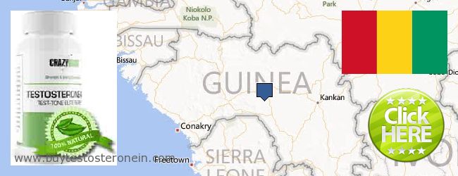 Jälleenmyyjät Testosterone verkossa Guinea