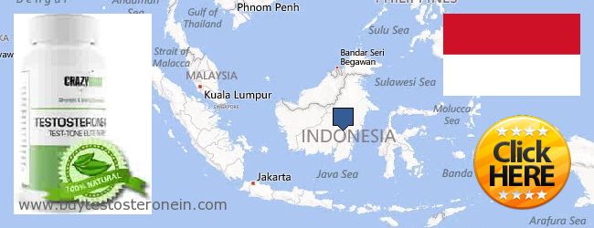 Jälleenmyyjät Testosterone verkossa Indonesia