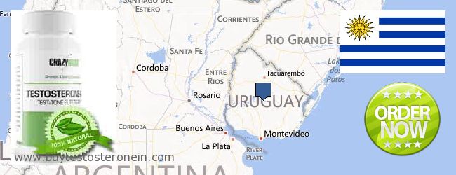 Jälleenmyyjät Testosterone verkossa Uruguay
