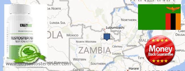 Jälleenmyyjät Testosterone verkossa Zambia