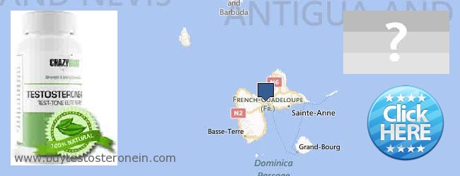 Къде да закупим Testosterone онлайн Guadeloupe