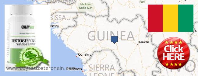 Къде да закупим Testosterone онлайн Guinea