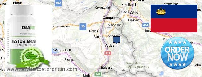Купи Testosterone онлайн Liechtenstein Къде да закупим Testosterone онлайн Liechtenstein