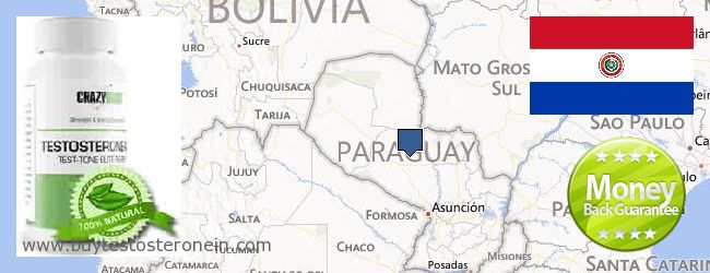 Къде да закупим Testosterone онлайн Paraguay