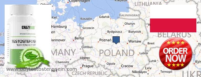 Къде да закупим Testosterone онлайн Poland