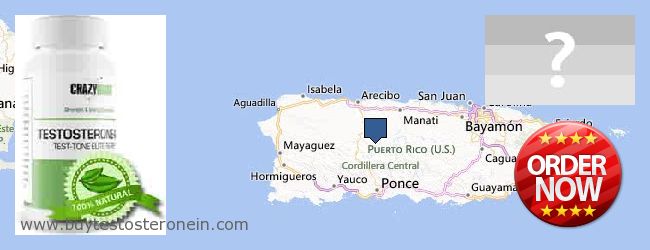 Къде да закупим Testosterone онлайн Puerto Rico