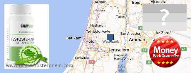 Купи Testosterone онлайн West Bank Къде да закупим Testosterone онлайн West Bank
