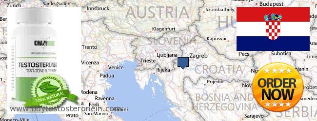 купити Testosterone онлайн Croatia Де купити Testosterone онлайн Croatia