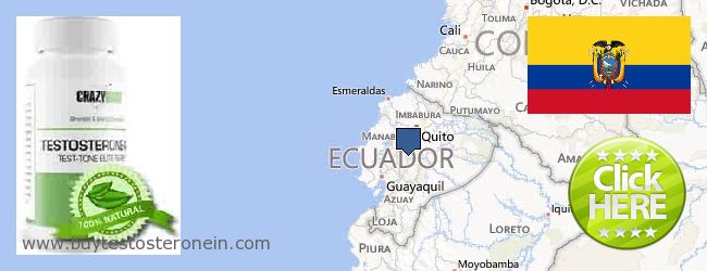 купити Testosterone онлайн Ecuador Де купити Testosterone онлайн Ecuador