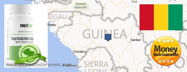 Де купити Testosterone онлайн Guinea