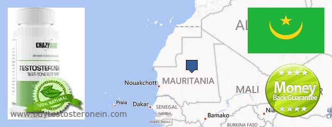 Де купити Testosterone онлайн Mauritania