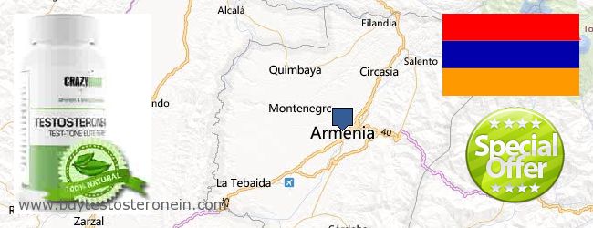 哪里购买 Testosterone 在线 Armenia